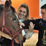 Centro di referenza per gli interventi assistiti con gli animali (pet therapy)